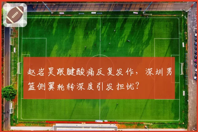 赵岩昊跟腱酸痛反复发作，深圳男篮侧翼轮转深度引发担忧？